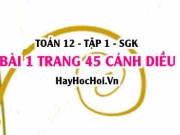 Bài 1 trang 45 Toán 12 tập 1 Cánh Diều